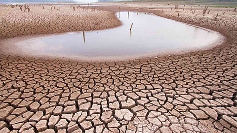 Earth's lands are drying out