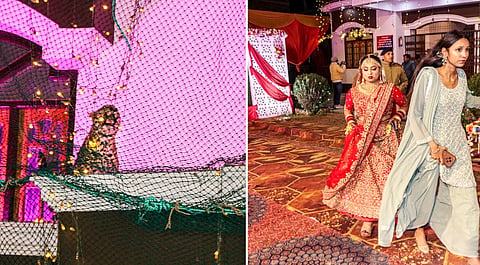 In this combo image, a leopard is seen in the left image after it entered a banquet hall amid an ongoing wedding, while the bride and others are seen on the right image running to save their lives, in Lucknow, late Wednesday, Feb. 12, 2025.
