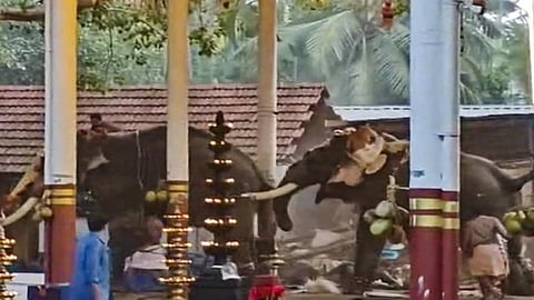 Elephant rampage at the temple festival 