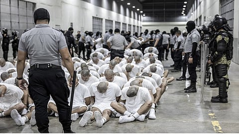 The Trump administration has transferred hundreds of Venezuelan gang members to El Salvador 