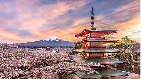 Japan's official cherry blossom spotters on Monday confirmed the first blooming of the country's favourite flower