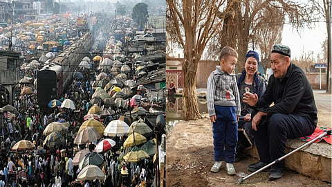 Population explosions and declines are related to the stability of the economy 
