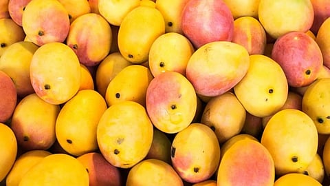 Mangos