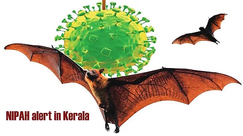 Two suspected Nipah cases spark concern in three districts 