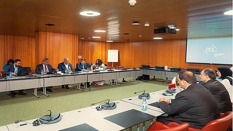 India, Namibia discuss cheetah conservation 