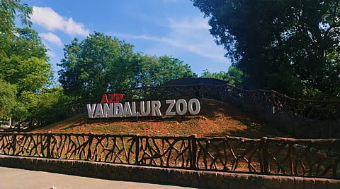 Vandalur zoo to go fully carbon-neutral: Tamil Nadu govt 