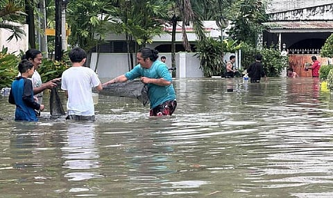 Typhoon Kalmaegi