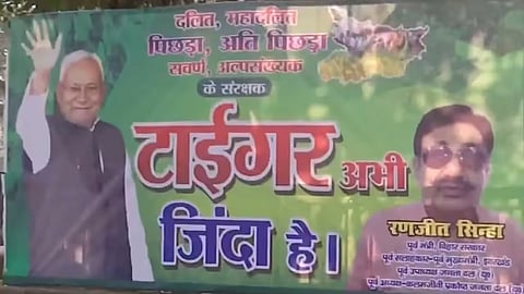 'Tiger abhi zinda hai', 'Bihar mein ek star'