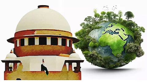 SC urged to set up bench to hear afresh pleas on grant of environment clearances