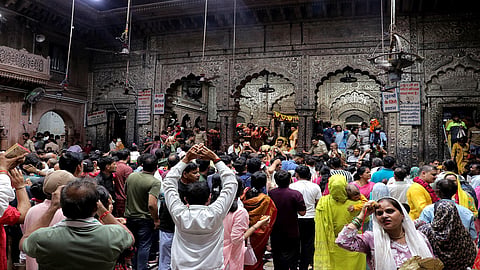 Mathura immersed in celebrations as devotees mark 'Bihar Panchami'