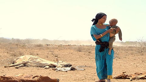 Drought leaves people hungry in Kenya as their livestock die