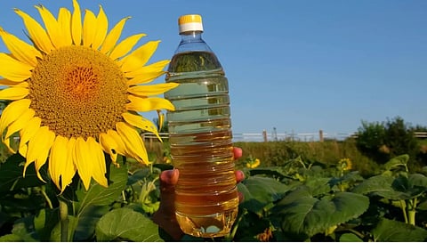 India's sunflower oil imports halve in Feb amid West Asia conflict, rising prices 