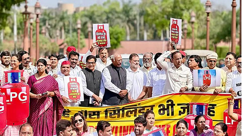 Oppn MPs protest in Parliament House complex over 'LPG supply crunch'