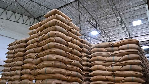 Govt's foodgrain stocks hit 604 lakh tonnes, nearly three times buffer requirement 