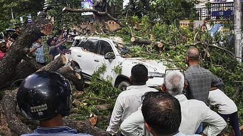 People gather after a tree fell over a car after a dust storm, in Prayagraj, Uttar Pradesh.