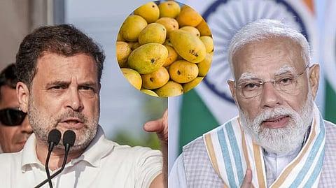 Rahul Gandhi criticises PM Modi on lack of proper response over CBSE OSM row