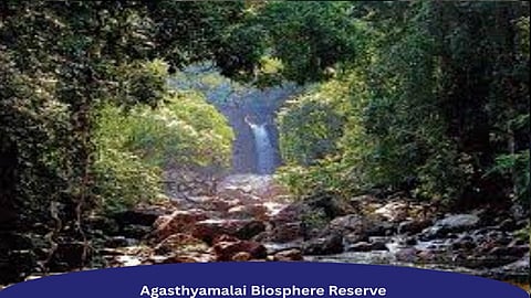 SC directs removal of encroachments from Agasthyamalai