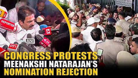 Order rejecting Natarajan's RS nomination is egregious