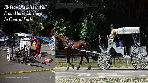 Indian teenager dies in horse carriage accident during his first trip to NY