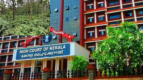 Kerala HC seeks govt stand on alleged tree felling in cardamom reserve area of Idukki