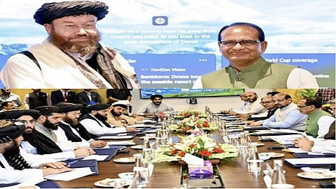 Afghanistan seeks India's cooperation to modernise agriculture