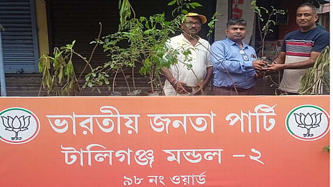'A tree in the name of  mother'