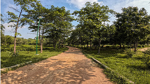 Park - Representative image