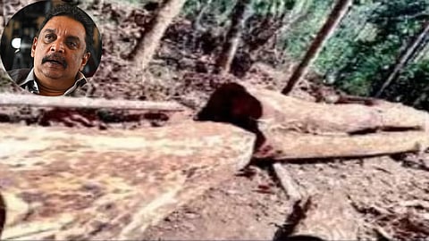 Will examine if Forest dept chargesheet in Muttil tree felling case is weak