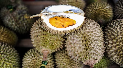 Inside Malaysia''s gambit to make its pungent durian the most wanted
