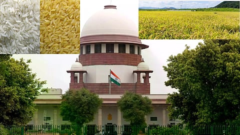SC urged to urgently list contempt plea over alleged release of GM rice