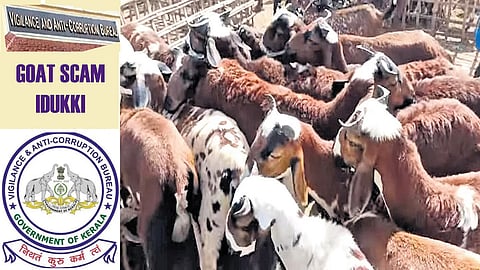 VACB registers case over alleged corruption in goat distribution scheme 