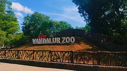 Vandalur Zoo closes due to bird flu spread threat 