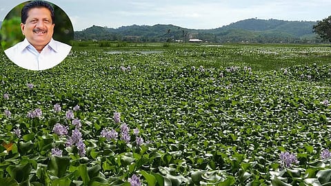 Keralam to form expert panel to find scientific solution to water hyacinth menace