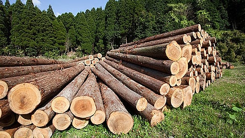 105 países se habían sumado previamente a la declaración