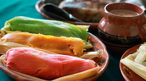 Perritos también recibieron tamaliza este Día de la Candelaria