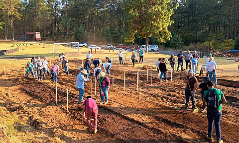 Sader fija meta para establecer 24 mil huertos de traspatio en Michoacán
