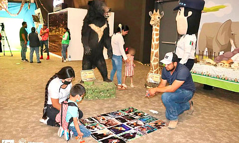 Diviértete y aprende con el Zoológico de Morelia en el Festival Michoacán de Origen 
