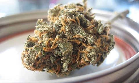 Michoacán: Coepris ha asegurado productos con cannabis en spas y tiendas naturistas