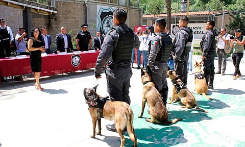 Dona Sistema Penitenciario elementos caninos a Comisión de Búsqueda de Personas