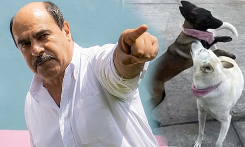 Edil de Tangancícuaro libra cárcel; pagará $25 mil por muerte de Buba y Canela