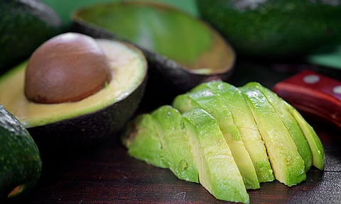 Sedeco promueve formalización laboral en sector aguacatero 