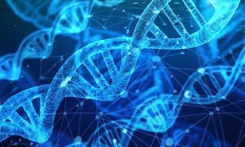 Homo sapiens se apareó con otras clases de humanos, sugieren estudios