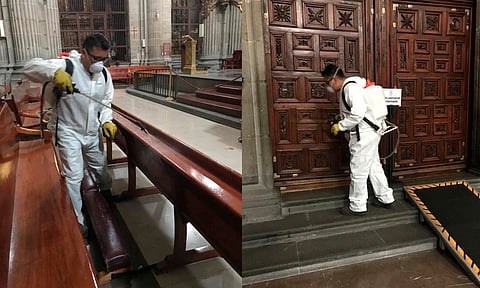 Para prevenir plaga de chinches fumigan la Catedral Metropolitana 
