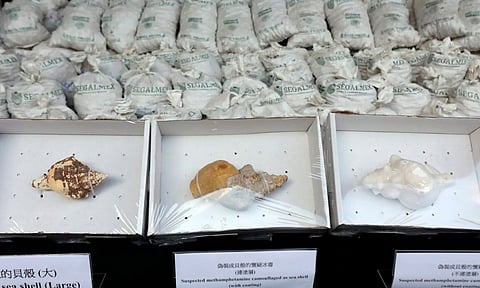 Segalmex se deslinda de cargamento de metanfetamina decomisado en Hong Kong