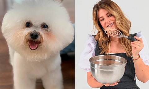 Influencer reporta muerte de su perrita por presunta negligencia en guardería de Morelia
