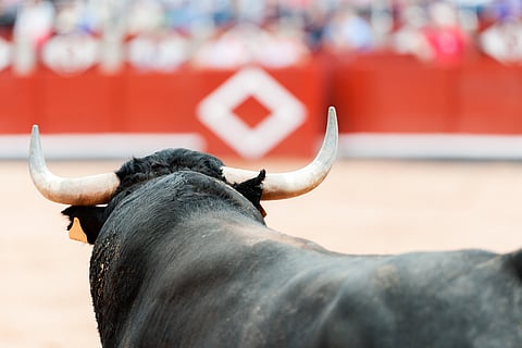 Suspende jueza corrida de toros en la Plaza México otra vez
