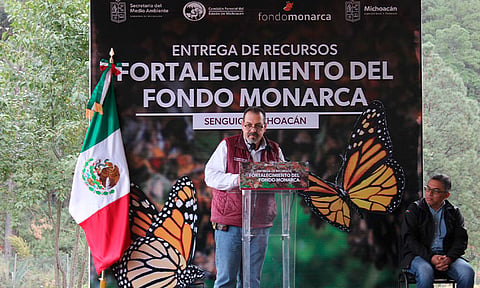 Michoacán contribuye a esfuerzo trinacional para conservación de la Monarca: Secma 