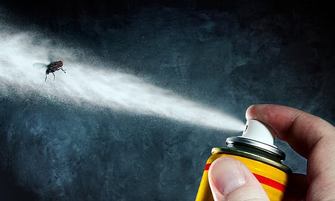 Alertan sobre insecticida ilegal; representa alto riesgo a la salud 
