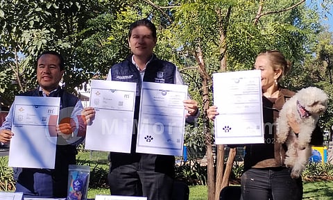 Con presupuesto 3 veces menor que CDMX se logró registro de mascotas 6 veces mayor en Morelia: edil
