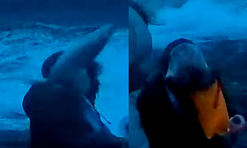 Reportero noruego es golpeado por un pez en la cara [Video]